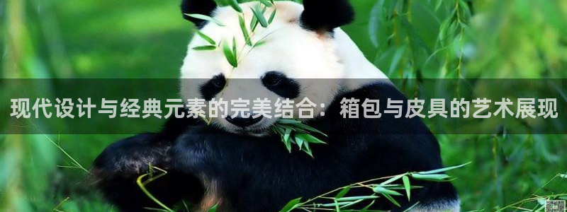 上海邦富娱乐有限公司