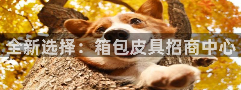 富博娱乐可以邦银行卡吗