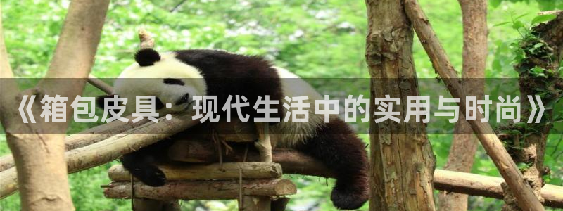 富邦娱乐登入探索无限空间