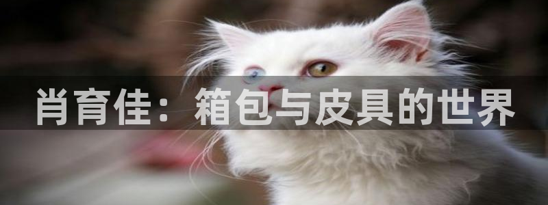 富邦娱乐-真博百楽