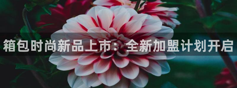 温州富邦娱乐
