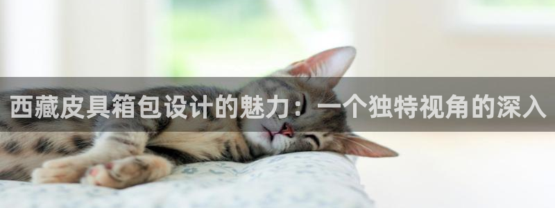 富邦娱乐彩票官网