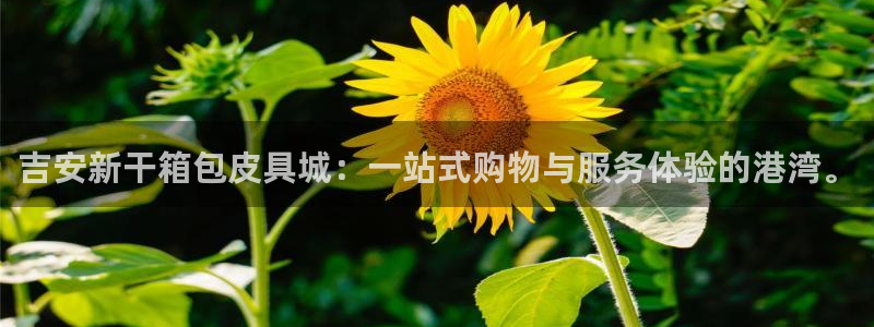 富邦娱乐集团