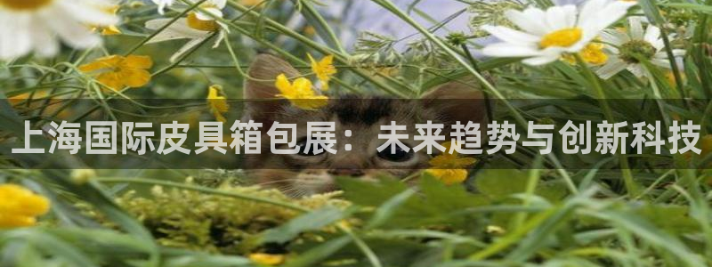 富邦娱乐注册-上全狐网