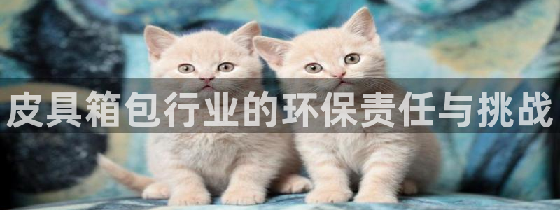 邯郸富邦娱乐地址