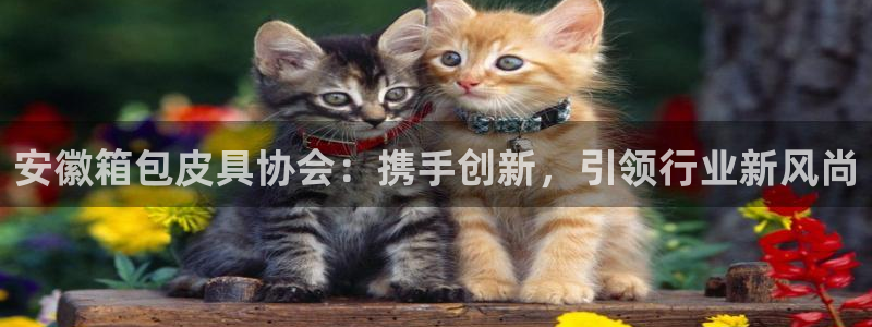 北仑富邦推荐娱乐项目