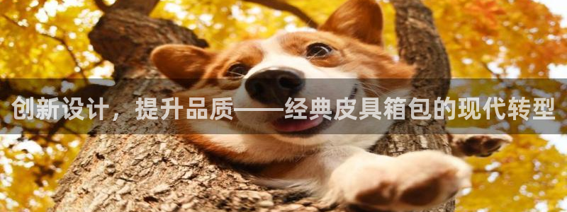 富邦广场的娱乐项目