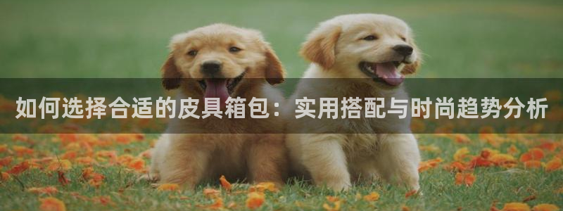 富邦娱乐场