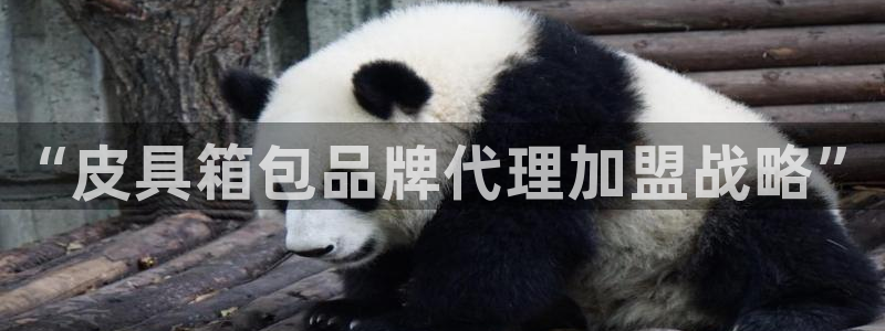 富邦酒店有娱乐场所嘛