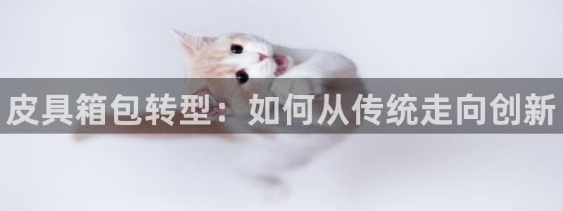 富邦娱乐开户 全礴网