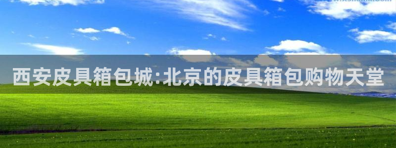 富邦美业势不可挡娱乐