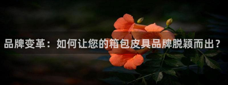 富邦娱乐团购怎么样啊