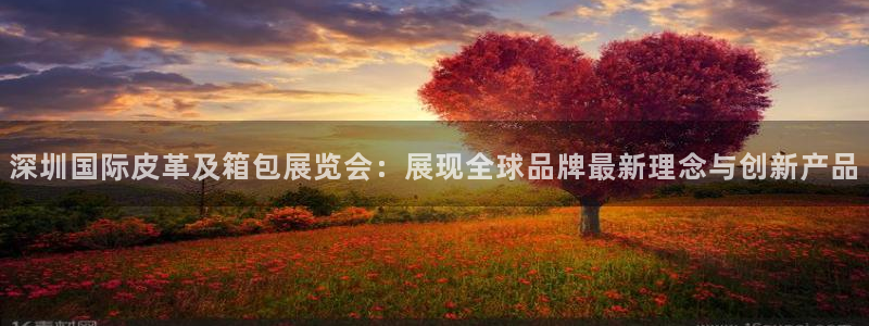 邦富娱乐国际