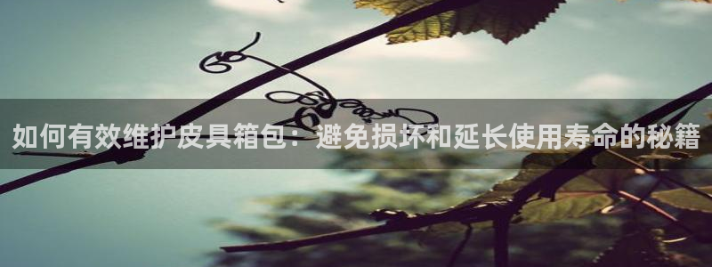 杭州临平富邦娱乐厅