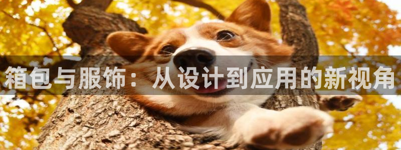 富邦娱乐网页版登录入口