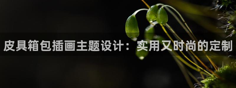 富邦娱乐 果敢锦海