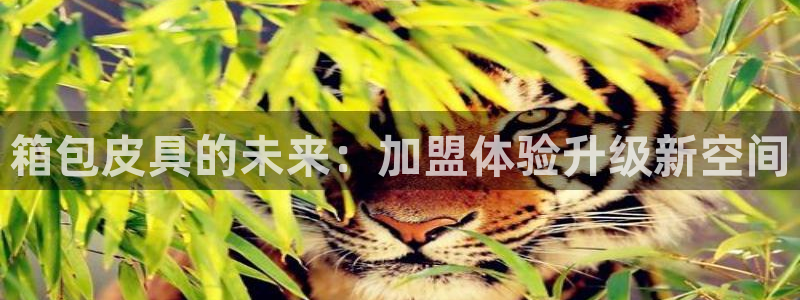 富邦娱乐平台-皇恩靠谱