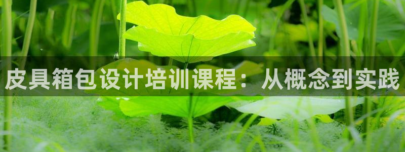 宁波北仑富邦娱乐