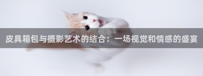 富邦娱乐澳门娱乐官网