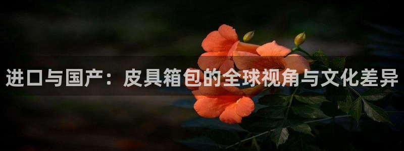 富邦娱乐被风控怎么办