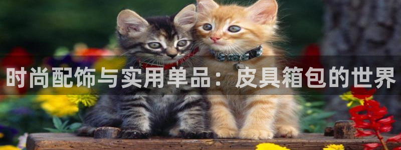 富邦历山湾娱乐