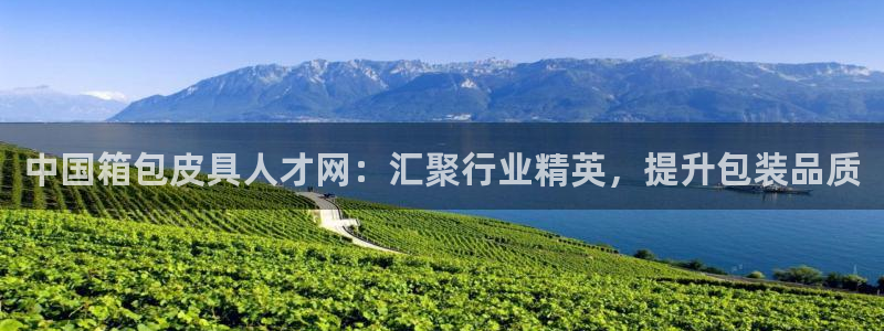 富邦娱乐 上鼎狐网