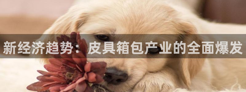 屏山富邦娱乐会所