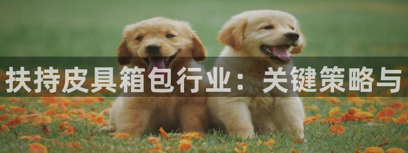 富邦娱乐登入 全礴网