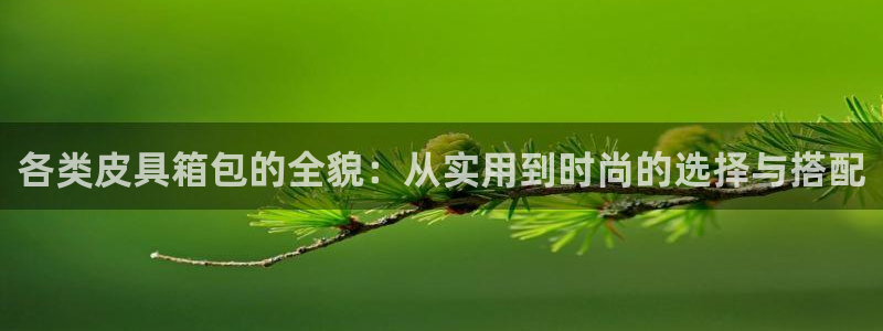 北仑富邦娱乐会所地址