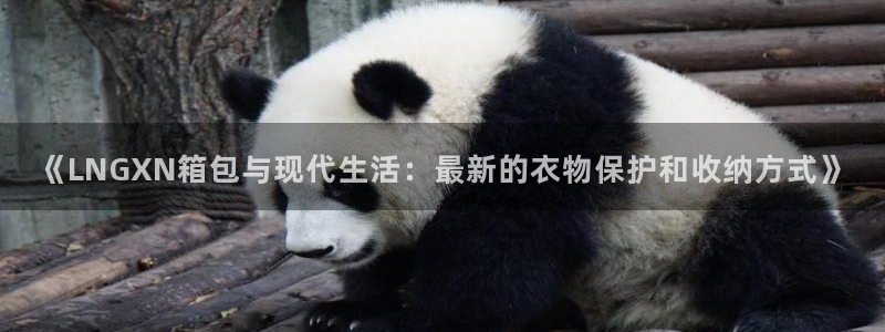 富邦娱乐登录