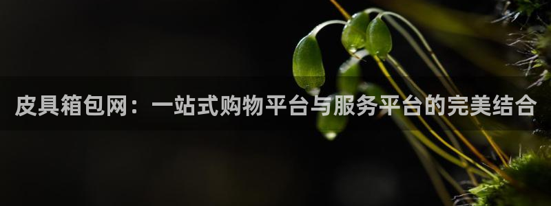 屏山富邦娱乐会所地址查询