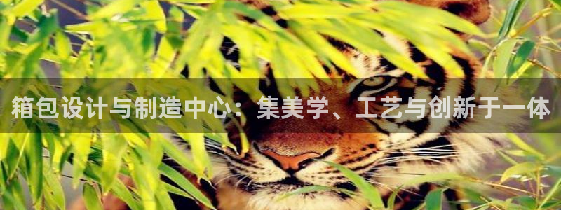 富邦娱乐平台 全礴网