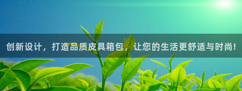 富邦娱乐 果敢锦海